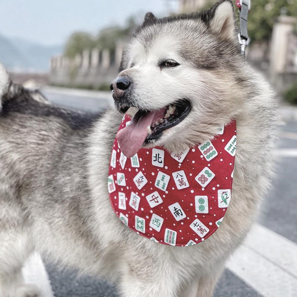 Fluffy gray and white husky wearing a red mahjong-themed dog bandana featuring colorful mahjong tile patterns with Chinese characters and traditional symbols.